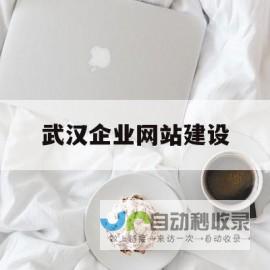 武汉企业网站建设，从品牌塑造到客户转化，全方位提升企业竞争力