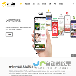 网站开发_网站建设_上海Wordpress开发_小程序开发_H5制作_系统定制开发-安拓网络
